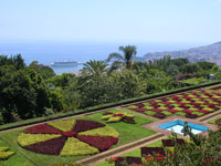 botanic garden thumb